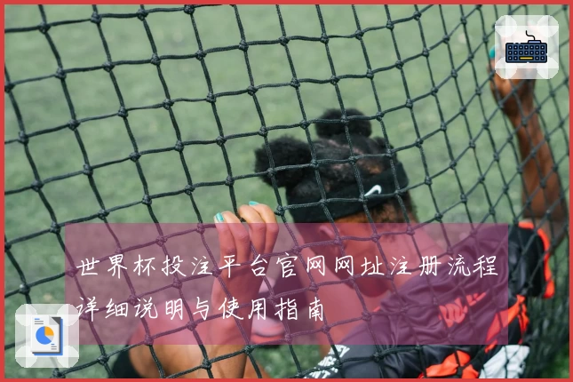 世界杯投注平台官网网址注册流程详细说明与使用指南