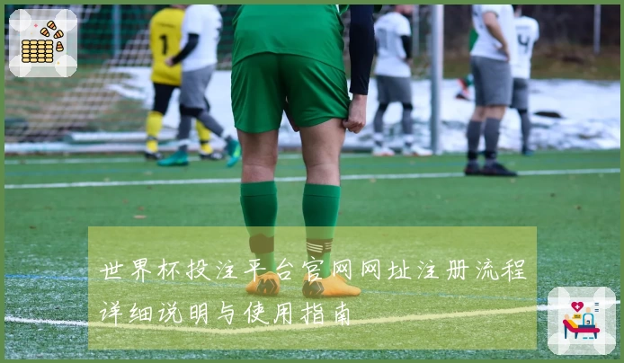 世界杯投注平台官网网址注册流程详细说明与使用指南