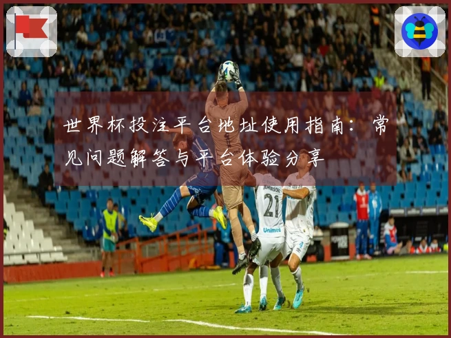 世界杯投注平台地址使用指南:常见问题解答与平台体验分享