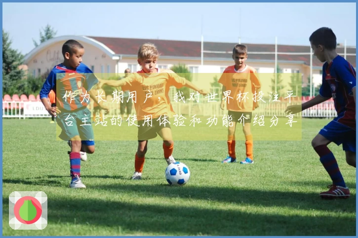 作为长期用户，我对世界杯投注平台主站的使用体验和功能介绍分享