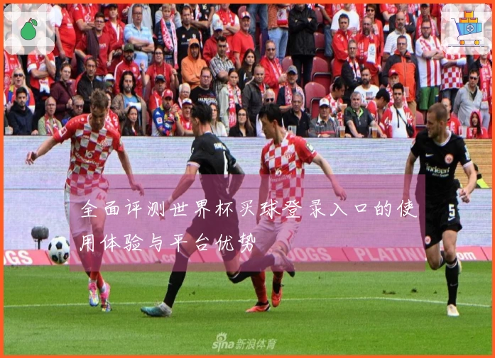 全面评测世界杯买球登录入口的使用体验与平台优势