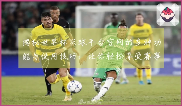 揭秘世界杯买球平台官网的多种功能与使用技巧，让你轻松享受赛事直播体验