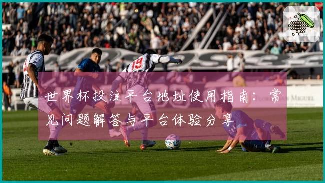 世界杯投注平台地址使用指南：常见问题解答与平台体验分享