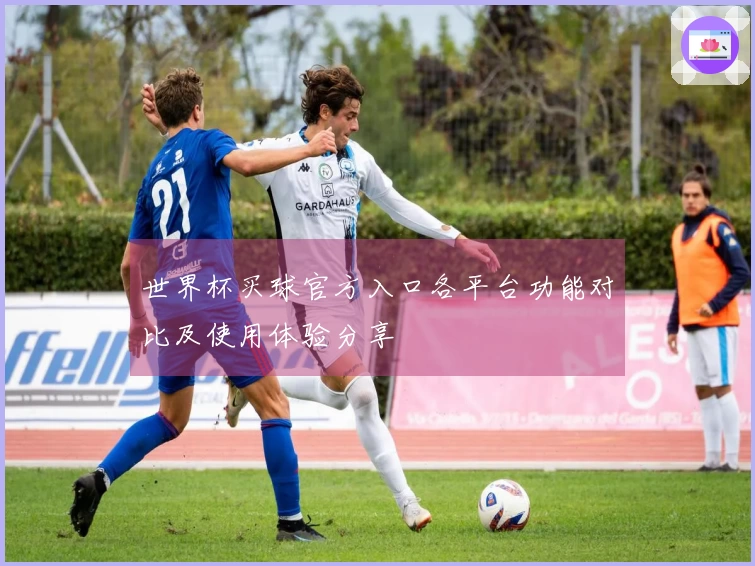世界杯买球官方入口各平台功能对比及使用体验分享